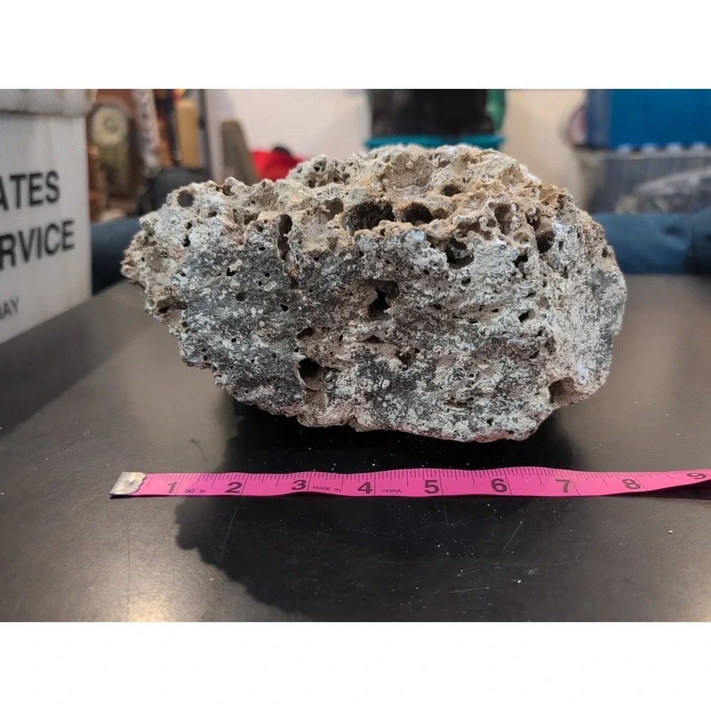 Coral Reef Cluster Specimen - 8